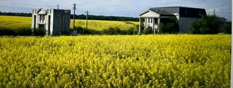 Snagov, proprietate ideala camin batrani sau locuinta, reducere mare pret